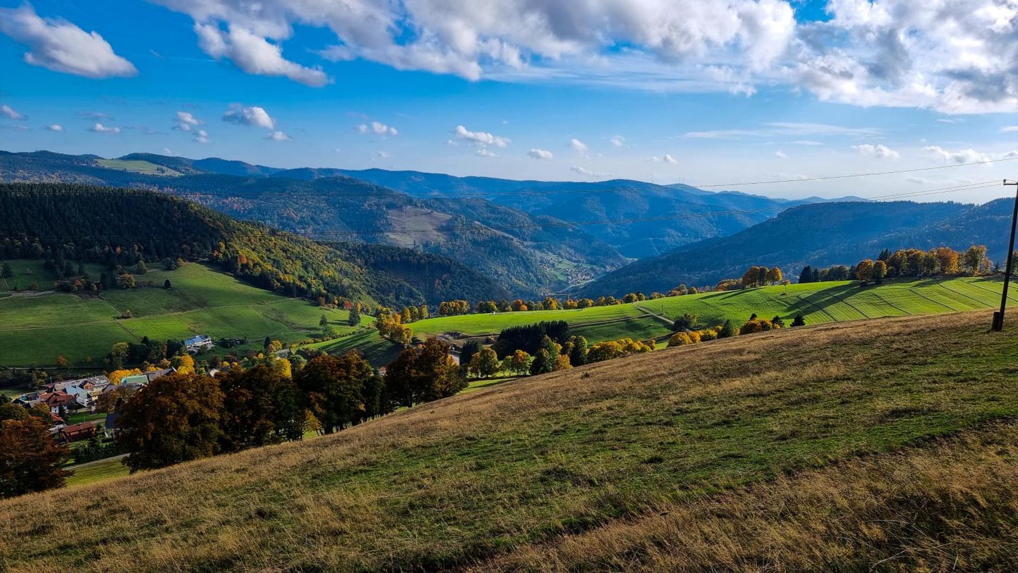 "Schwarzwaldblick" Ferienwohnung 2-4 Pers 65Qm, Schoene Ruhige Suedhanglage Mit Herrl Aussicht Тодтнау Экстерьер фото